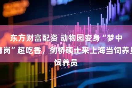 东方财富配资 动物园变身“梦中情岗”超吃香，剑桥硕士来上海当饲养员